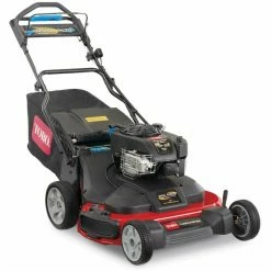 Toro Timemaster Personal Pace 30" RWD Self Propelled Mower #21199
